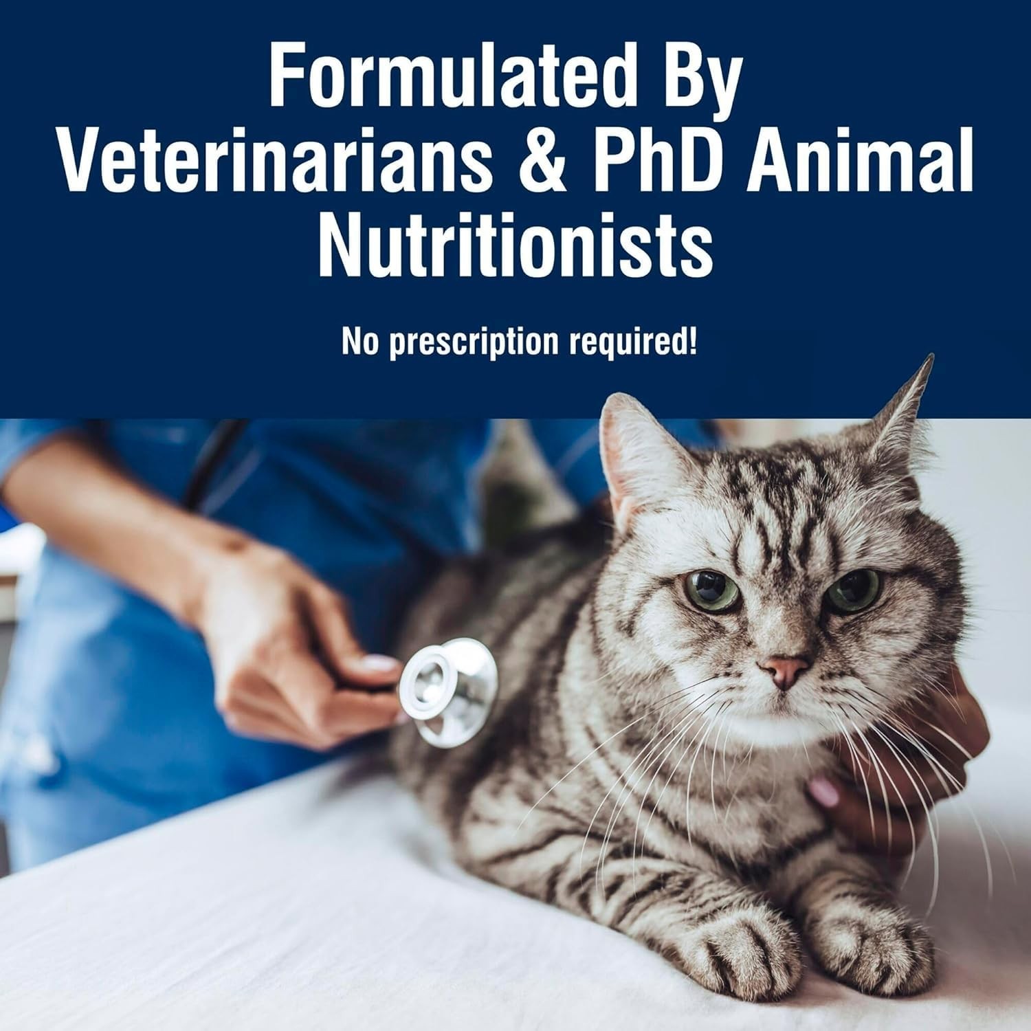 Blue Buffalo True Solutions Urinary Care Wet Cat Food 3 Ounce (Pack of 24)
