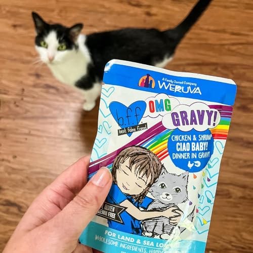 Weruva B.F.F. OMG Oh My Gravy! Variety Pack Wet Cat Food 12x 2.8oz Pouches