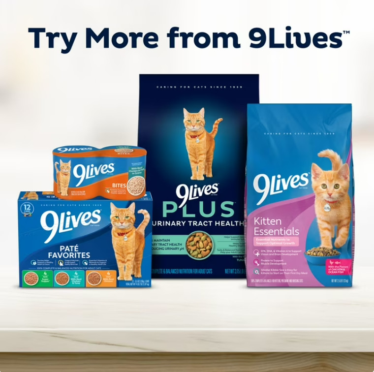 3 Bag 9Lives PLUS High Protein Dry Cat Food, 15.5 lb. Bag