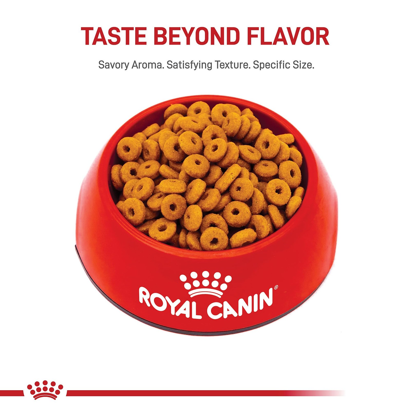 Royal Canin Feline Care Nutrition Digestive Adult 3 Pound (Pack of 1)