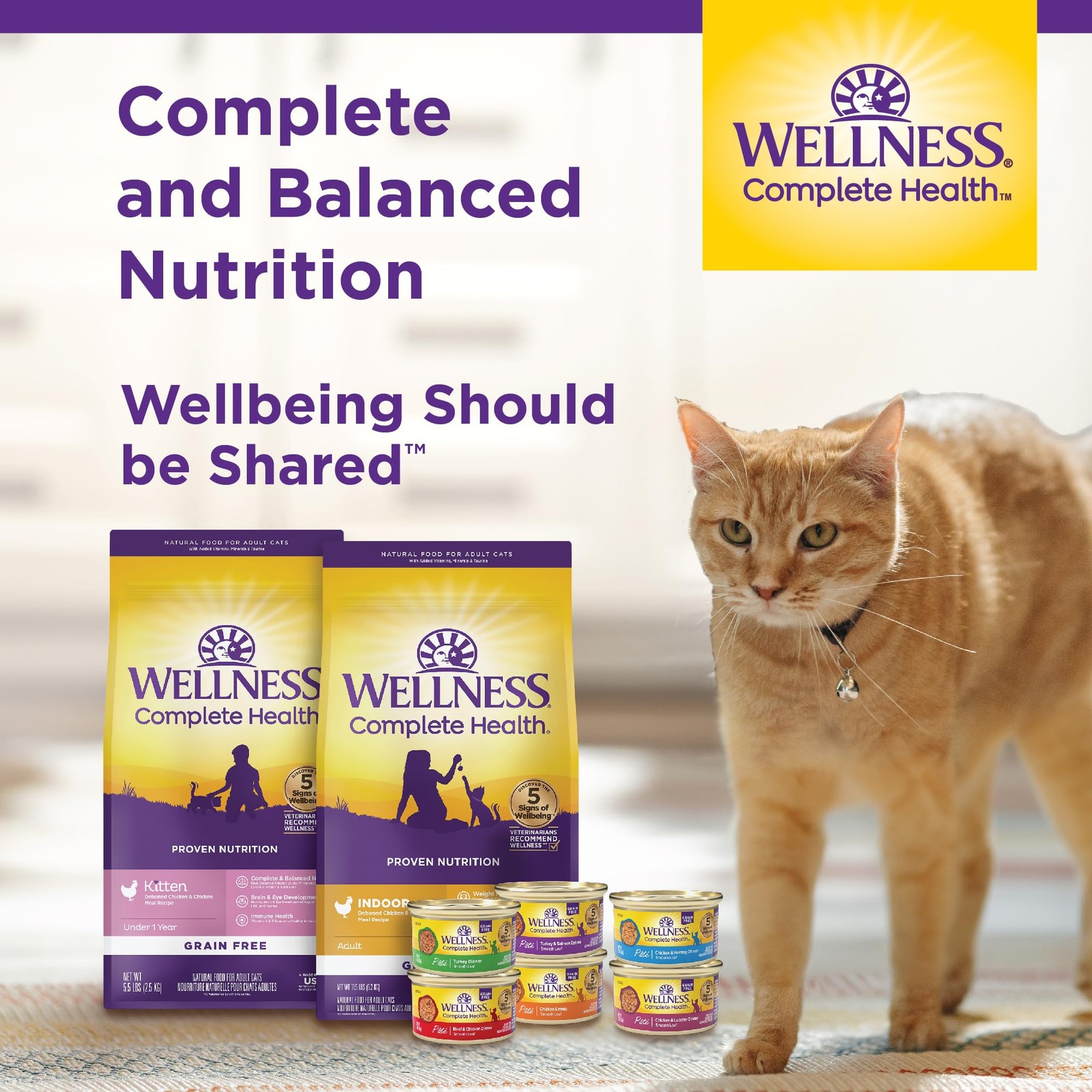 Complete Health Adult Dry Cat Food for Indoor Cats, Natural, Grain Free Kibbl…
