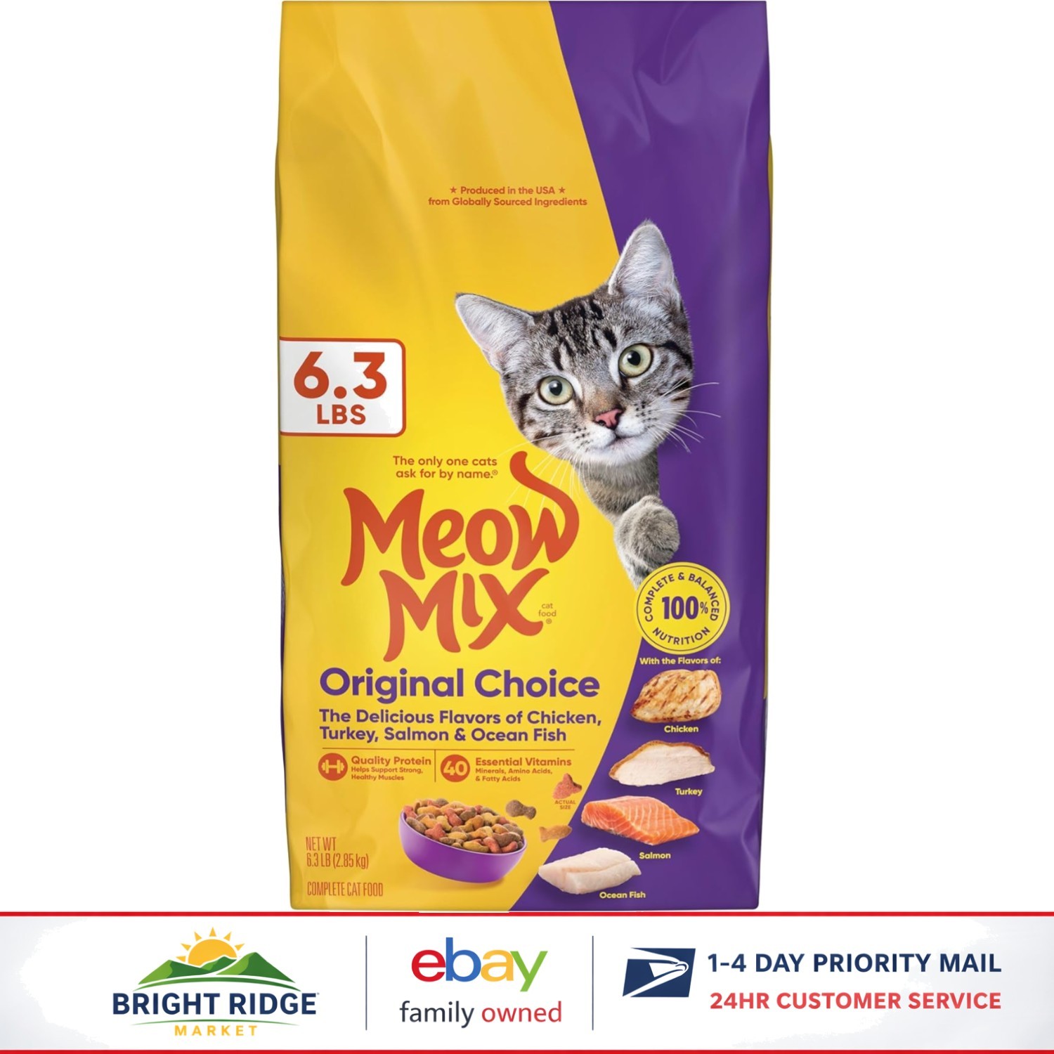 6.3 Pound Bag of Complete Dry Cat Food for All Life Stages and Sizes