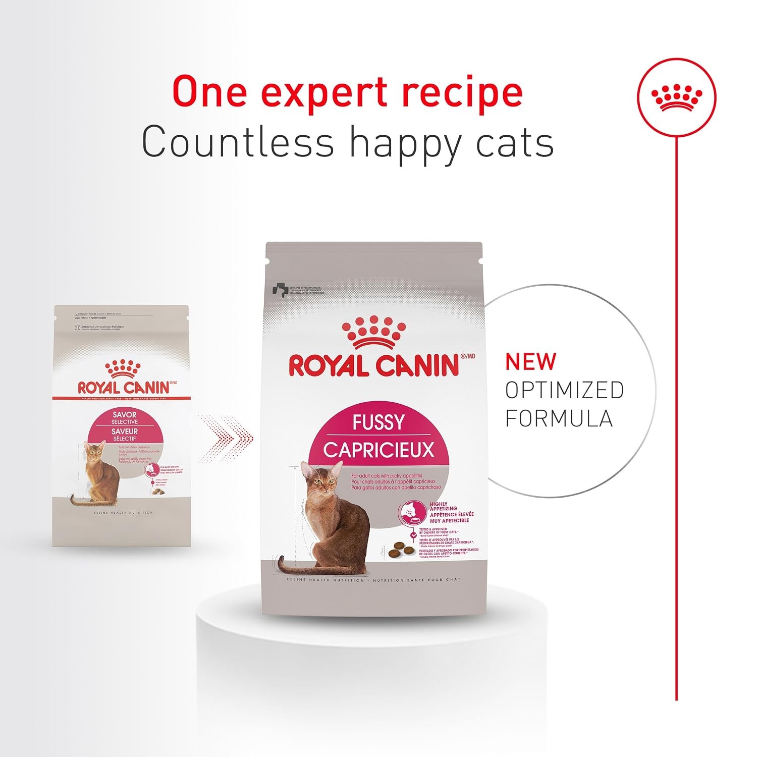 Royal Canin Adult Dry Cat Food for Picky Cats Fussy Food Protein Rich Kibbles