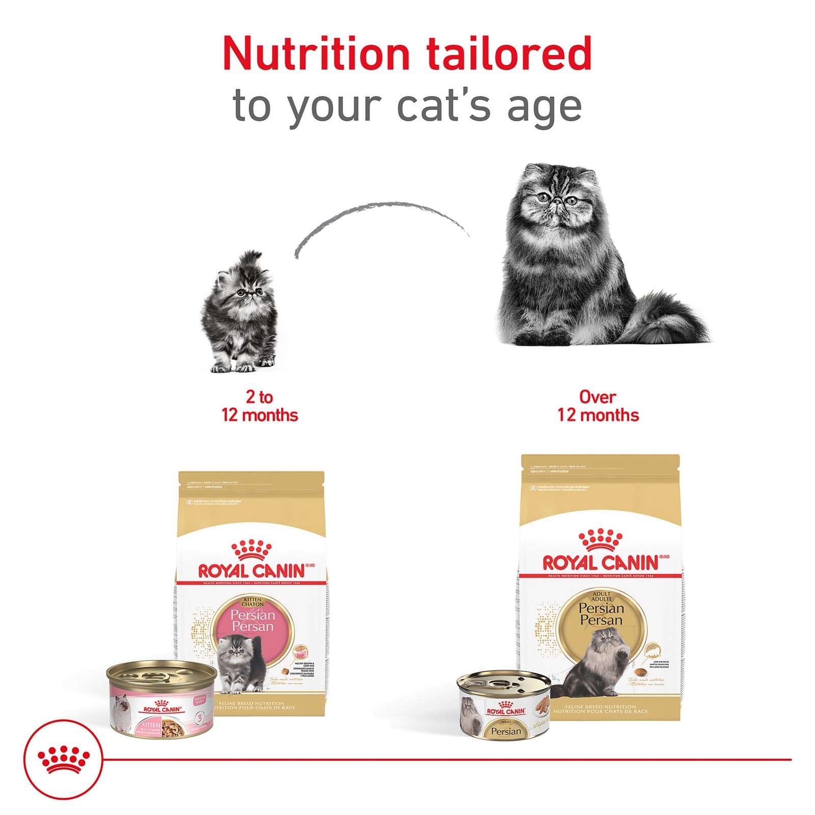Royal Canin Feline Breed Nutrition Persian Kitten 3 Pound (Pack of 1), brown