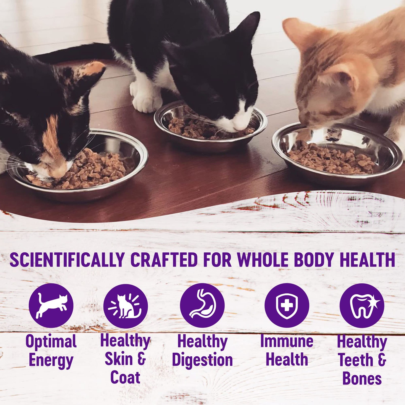 Healthy Indulgence Morsels Adult Wet Cat Food, Natural, Protein-Rich, Grain-F…