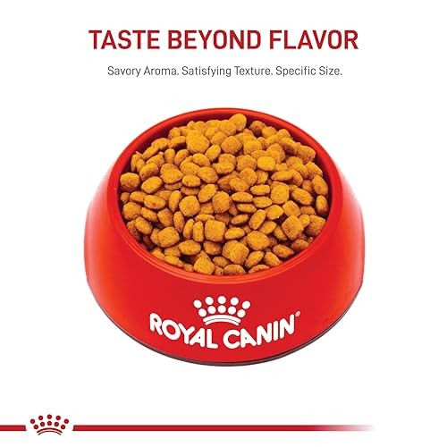 Royal Canin Feline Care Nutrition Urinary Care Adult Dry Cat Food 6 Lb Bag