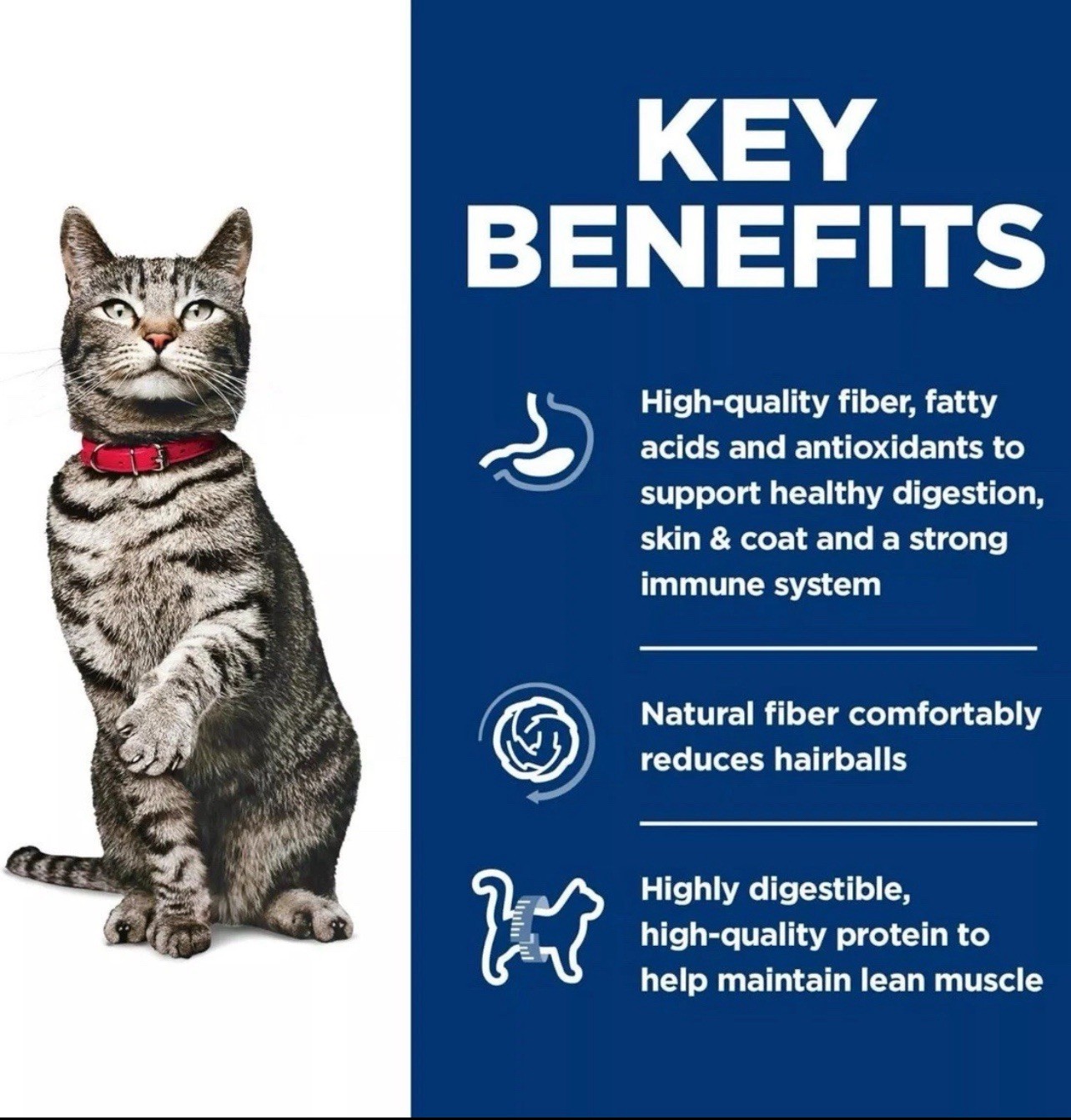 Hill’s Science Diet Urinary & Hairball Control Chicken Dry Cat Food, 3.5lb 🆕