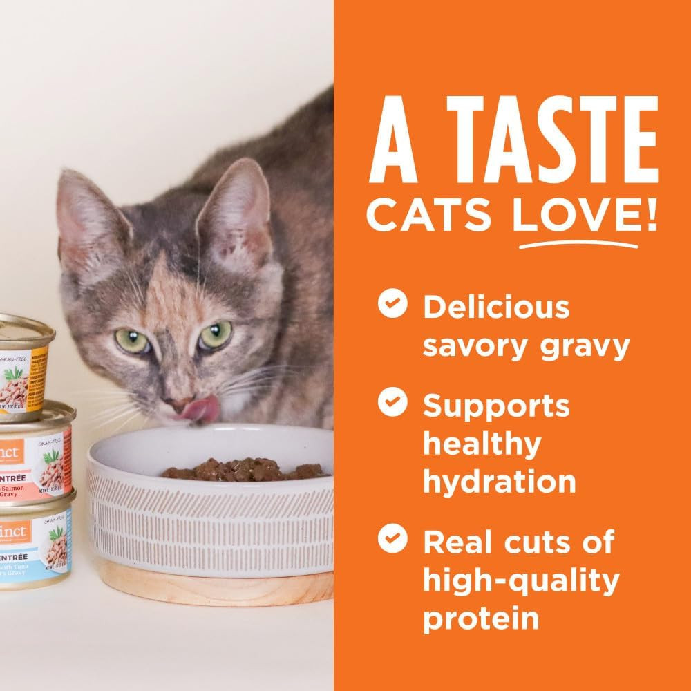 Flaked Variety Pack Wet Cat Food 5.5 oz. Can (Pack of 12)