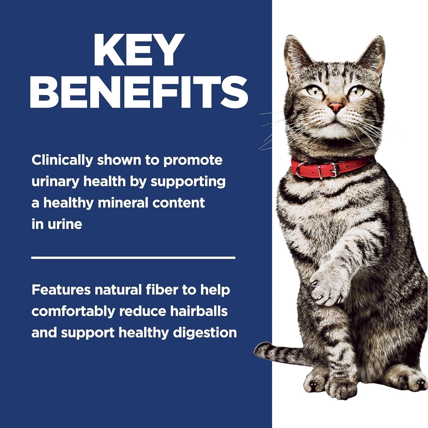 Natural Fiber Cat Food for Adult Cats, 7 lb – Supports Urinary & Hairball Care