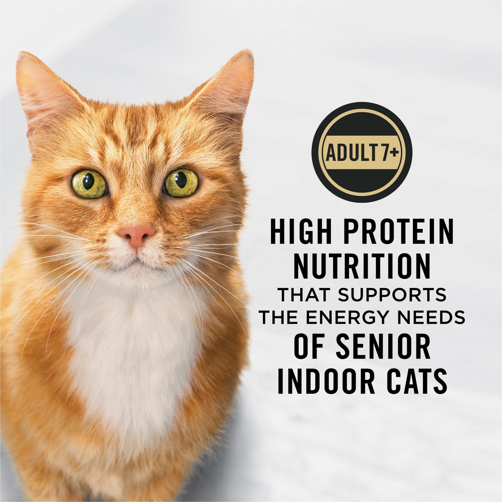 Purina Pro Plan Adult 7 Plus Indoor Chicken and Rice 3.5 Pound (Pack of 1)