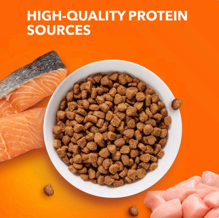 3 Bag Iams Proactive Health Salmon Flavor Dry Cat Food For Adult Cats, 7 Lb Bag