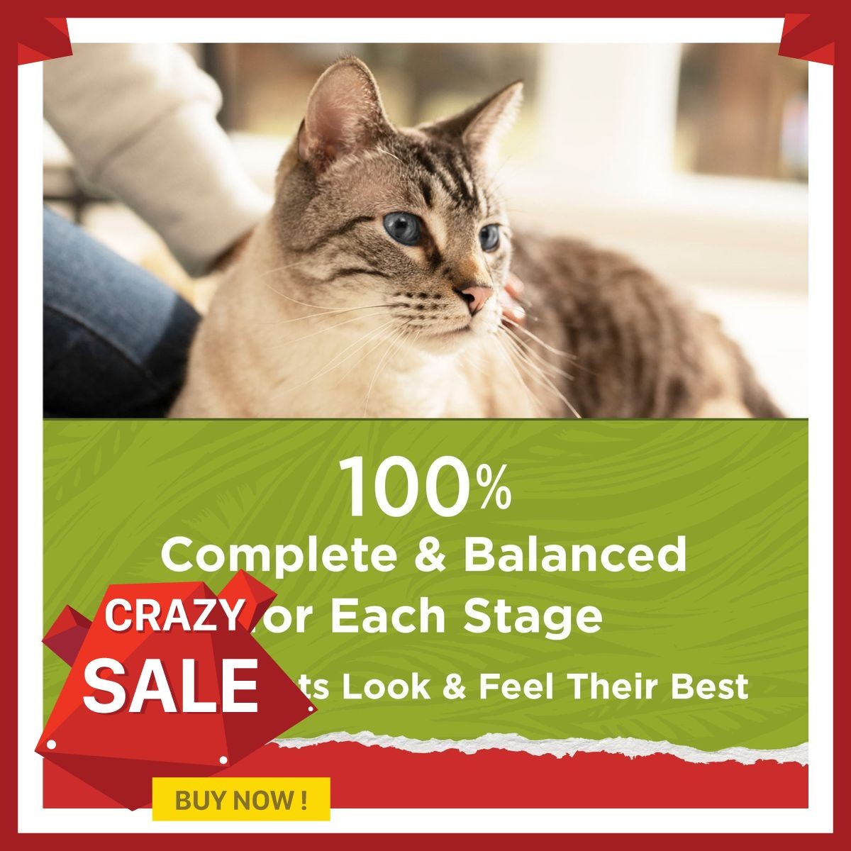 (2 pack) Purina Cat Chow Naturals, Dry Cat Food, Chicken & Salmon, 18 lb Bag