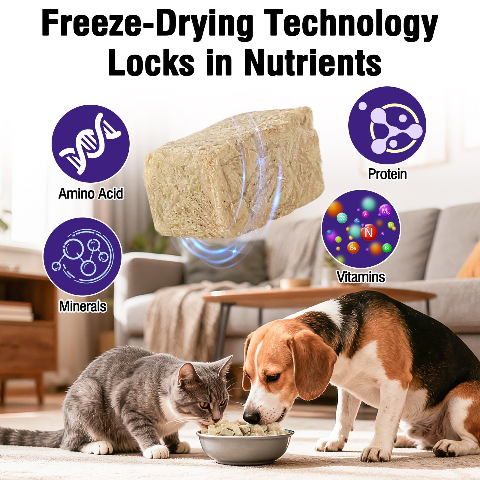 Snacko Freeze Dried Chicken Liver Cat Dog Treats 1 Ounce (Pack of 1)