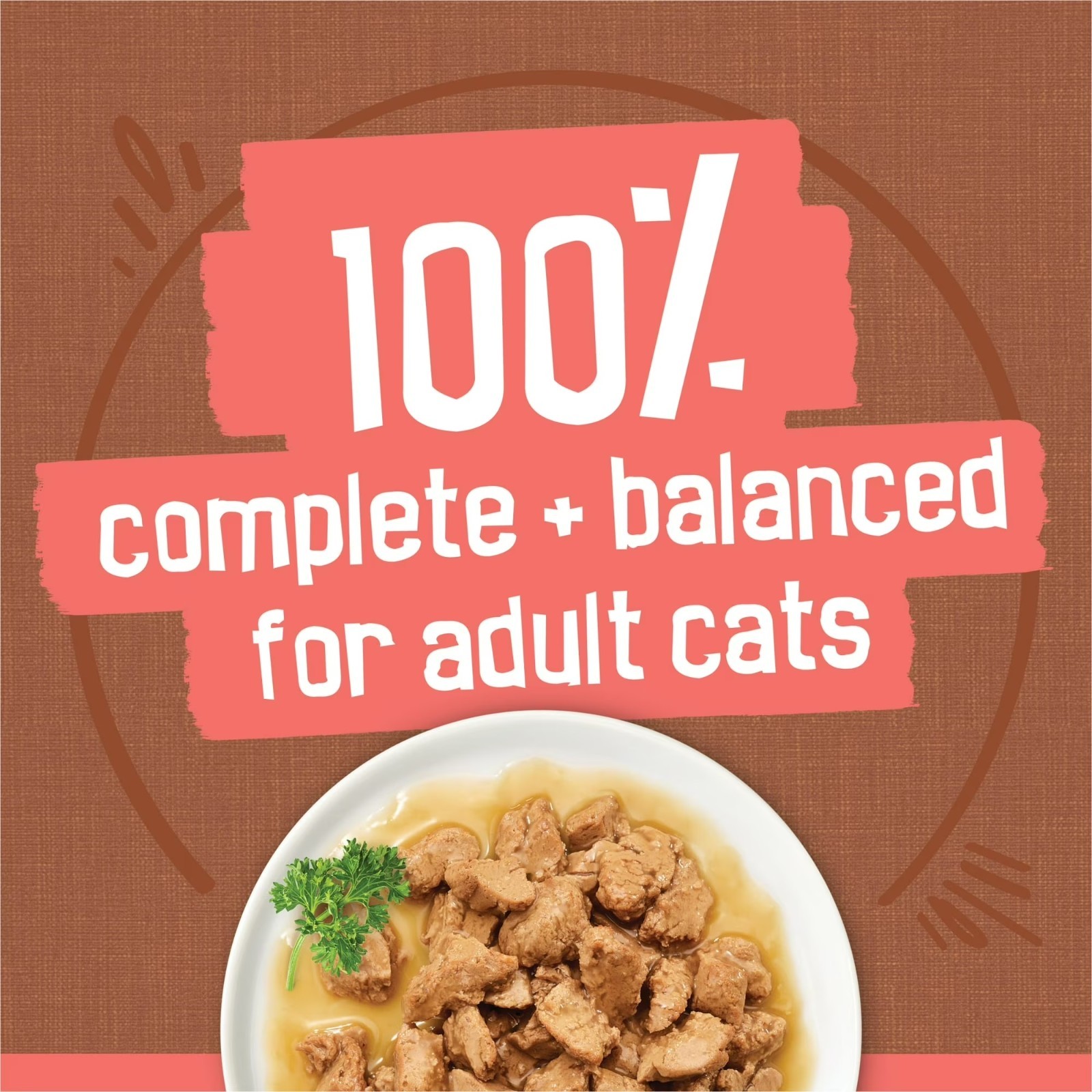 2 Pack Purina Friskies Extra Chunky Gravy Variety Pack, Wet Cat Food,5.5 oz Cans