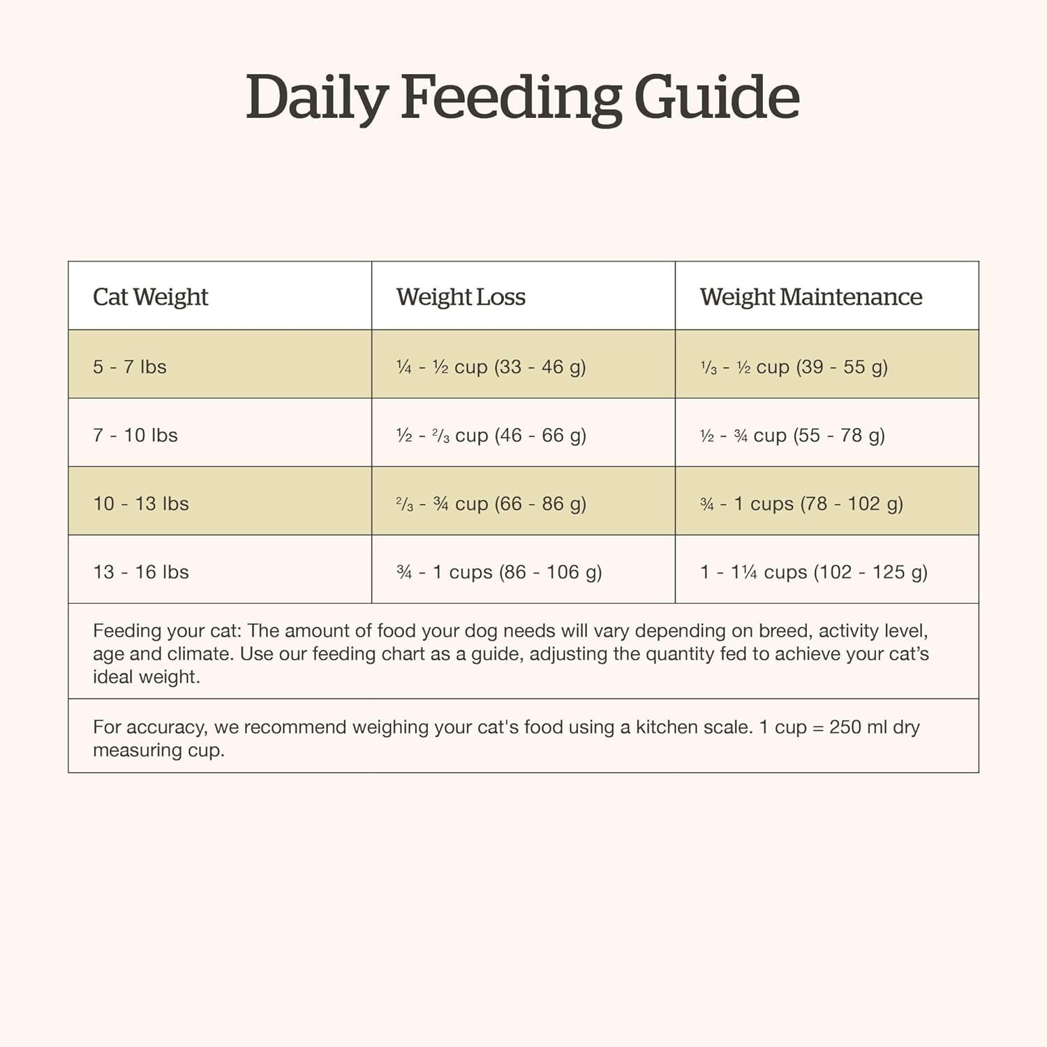 Now Fresh Good Gravy Grain-Free Dry Cat Food with Salmon, 3 Pound (Pack of 1)