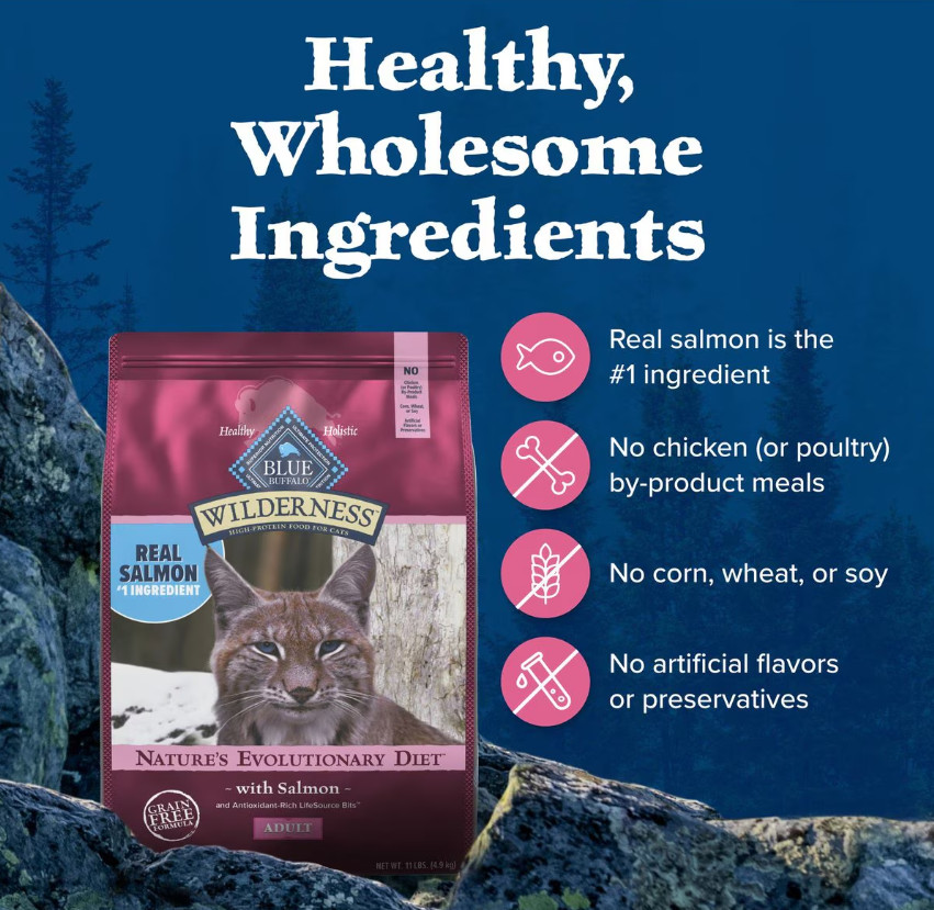 Blue Buffalo Wilderness Salmon Recipe Grain-Free Dry Cat Food, 11-lb bag
