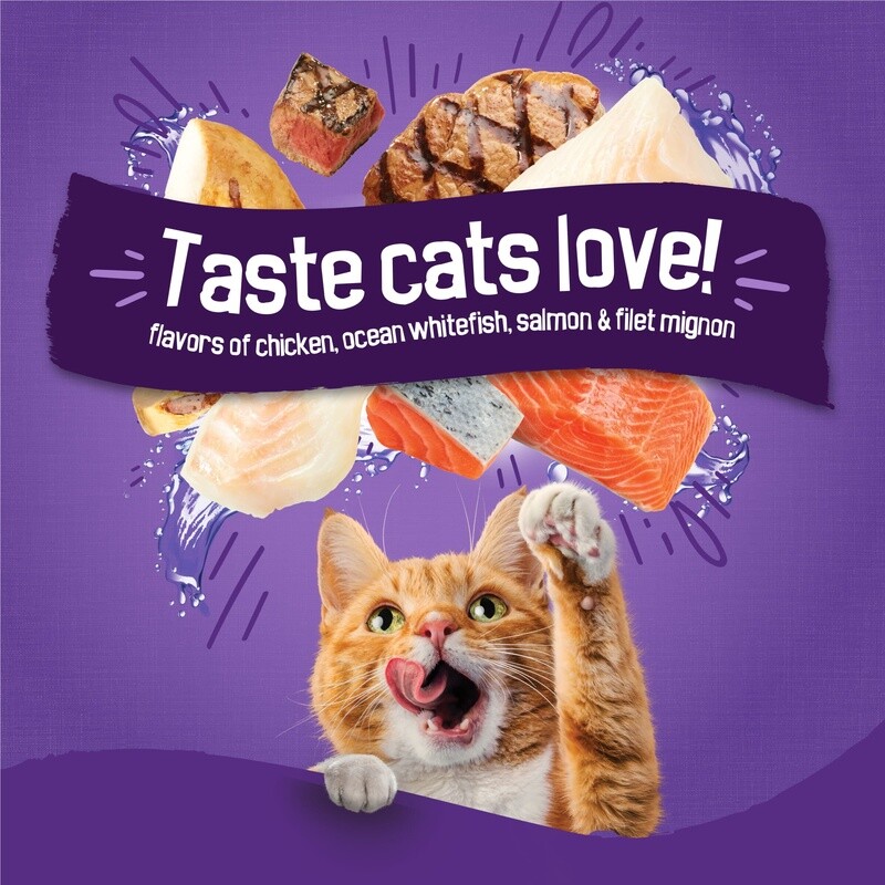 Dry Cat Food Chicken Salmon Whitefish Filet Mignon 16 lb Kibble All Breeds New
