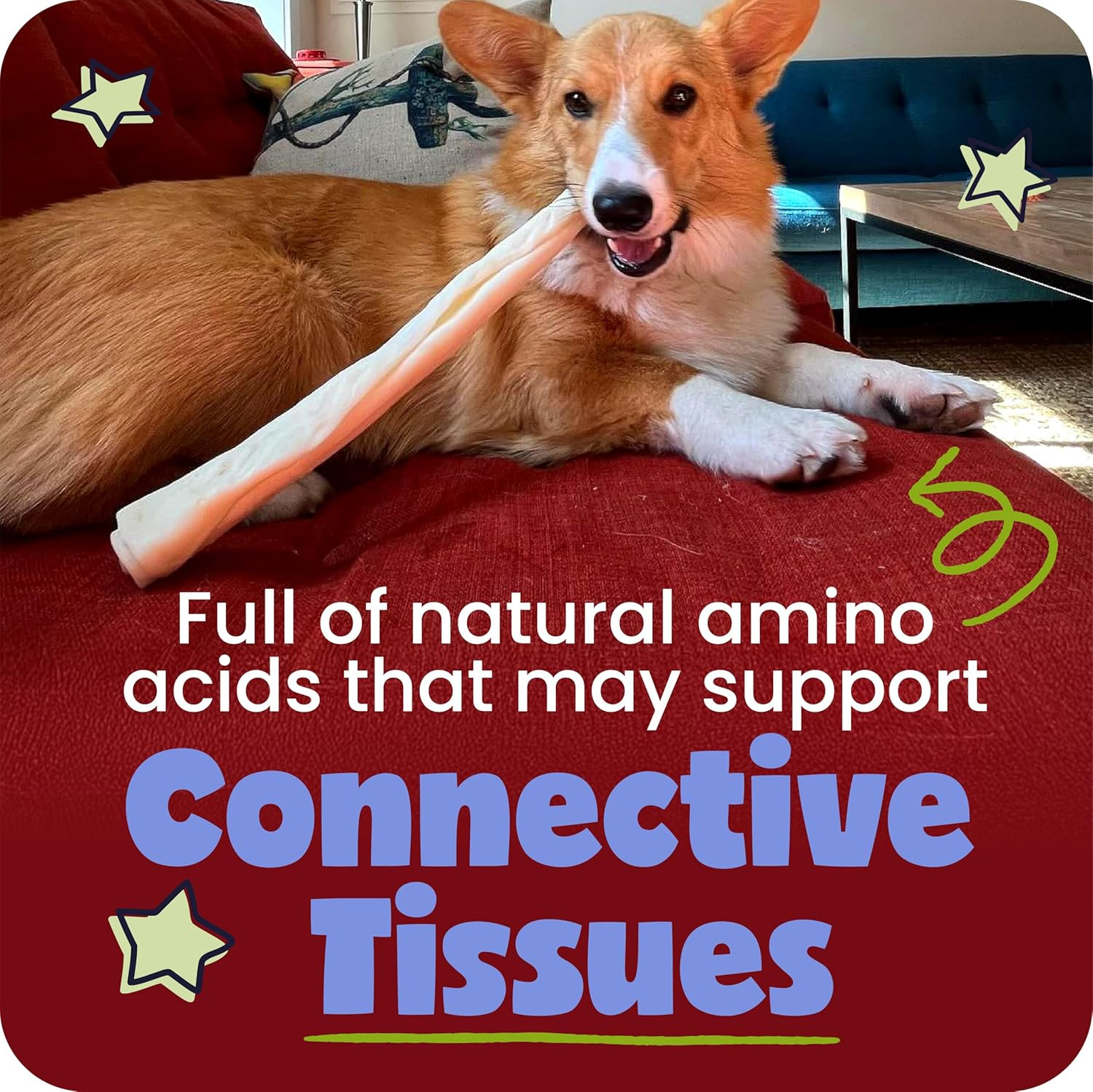 Pawstruck Natural Large Collagen Stick Barbells for Dogs – Vet-Approved Long Las
