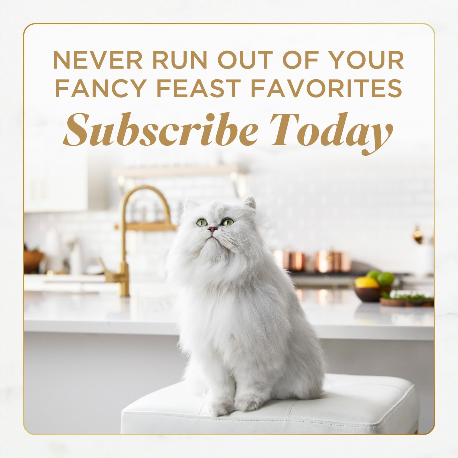Purina Fancy Feast Savory Centers Wet Cat Food Pate Variety Pack With Chicken…