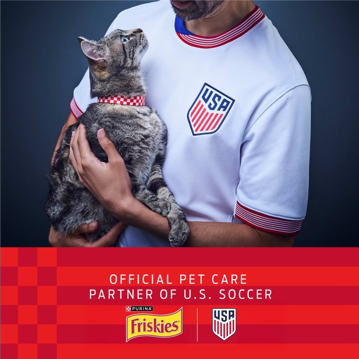 Purina Friskies Pate Seafood & Chicken Variety Pack Wet Cat Food 80 Cans 5.5 oz