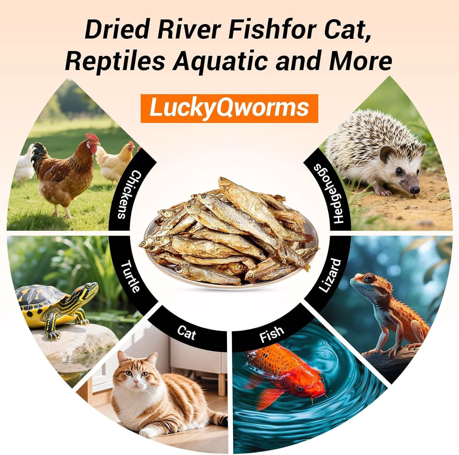 1LB Dried Freshwater Fish – Food for Turtles, Terrapins & Reptiles Tropical Fish