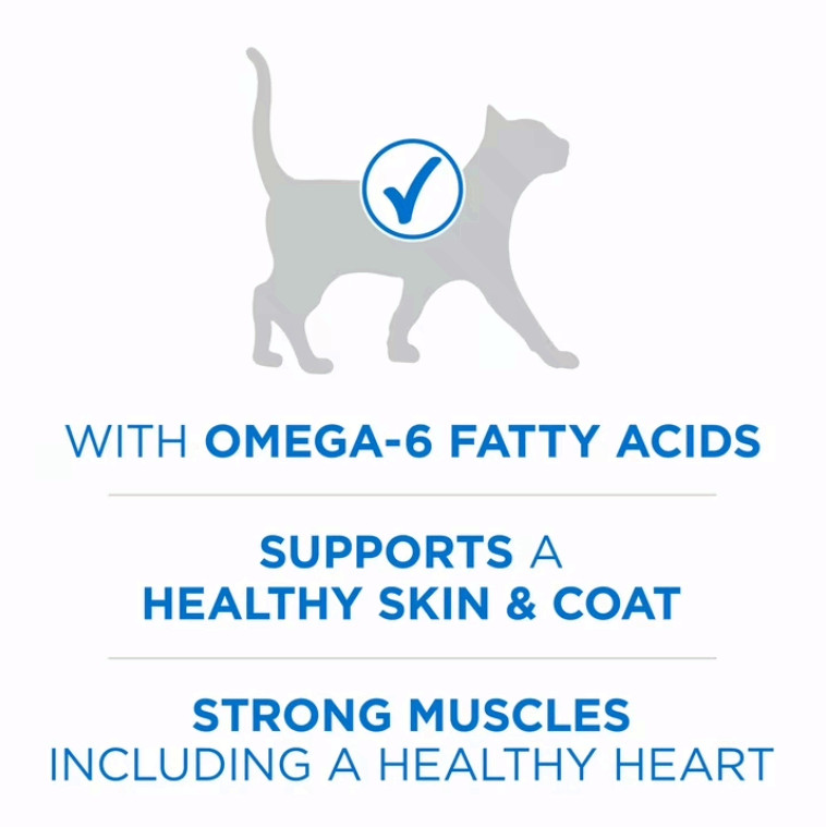 Purina ONE Natural Dry Cat Food Salmon&Ocean Whitefish Skin,Coat Health,22lb Bag