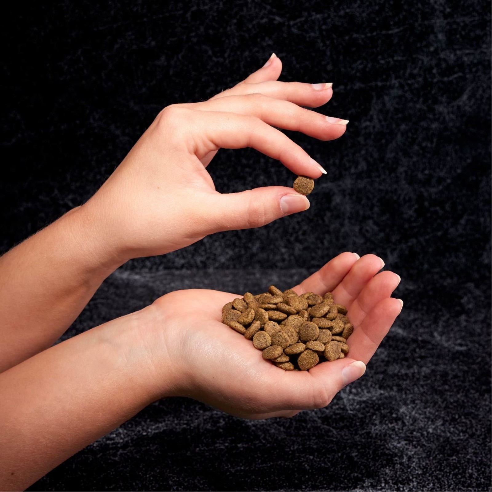Crave Grain Free Indoor Natural Dry Cat Food With High Protein From Chicken & Sa