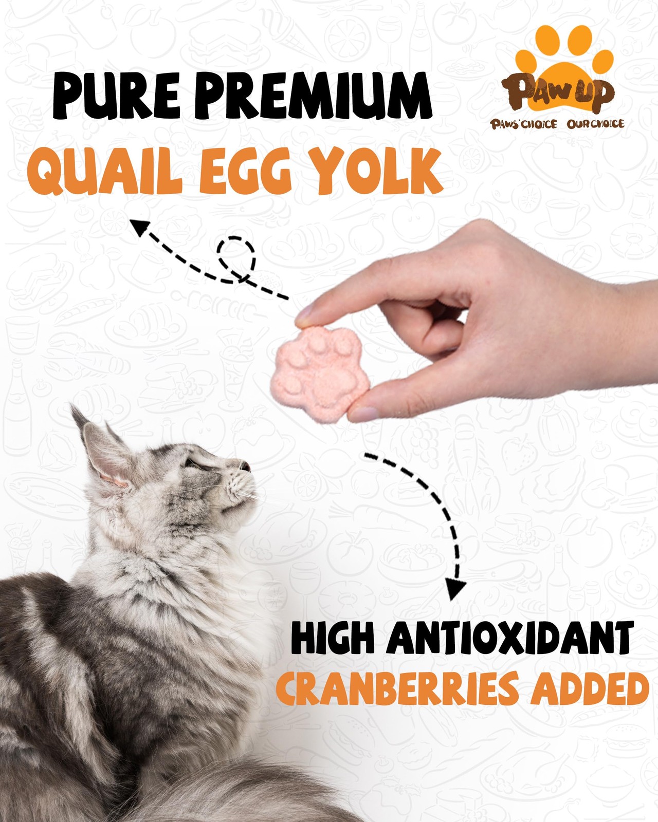 PAWUP Freeze Dried Cat & Dog Treats, Natural Quail Egg 3.53 Ounce (Pack of 1)