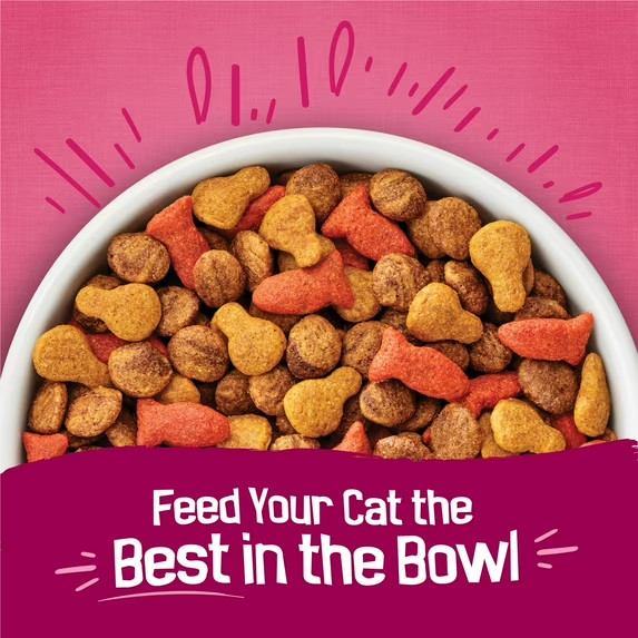 (2 pack) Purina Friskies Gravy Swirlers Dry Cat Food Flavors of Chicken SALE!!