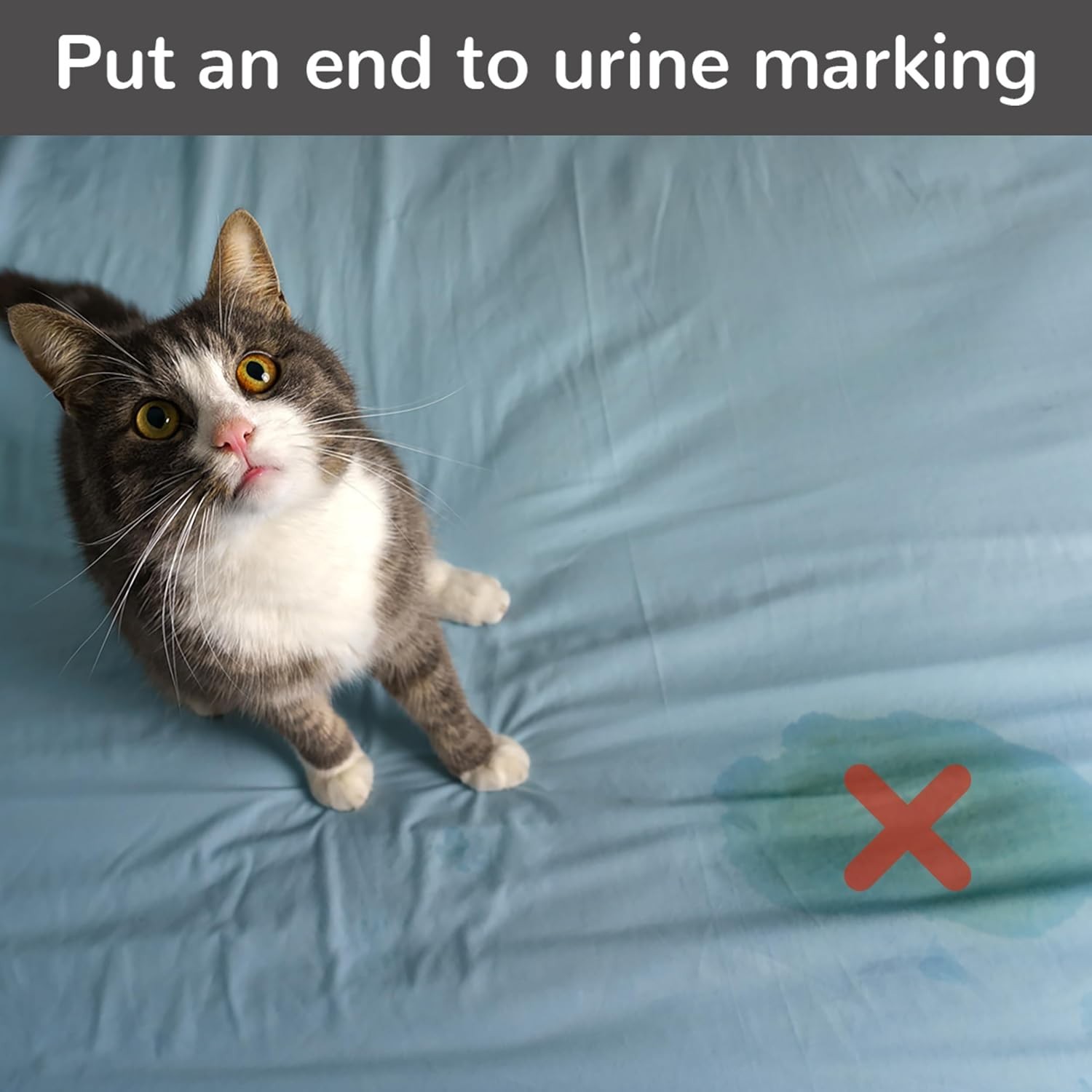 Cat Deterrent Spray – 100% Natural Cat Spray for Urine Marking & Scratching