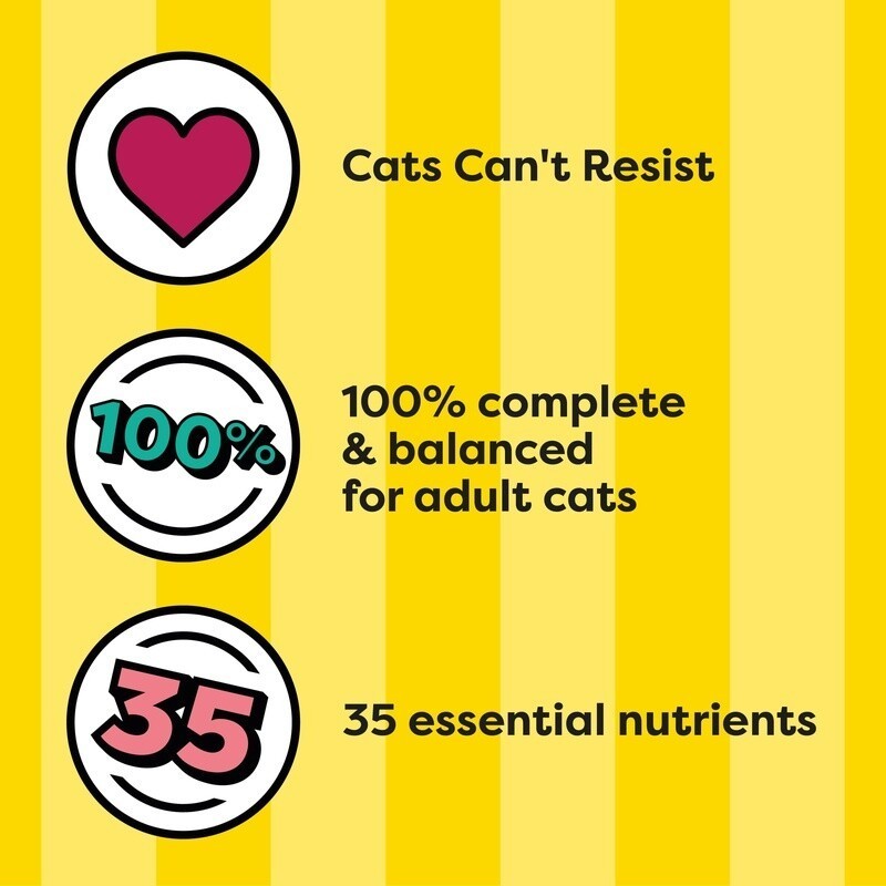 Dry Cat Food Block Party BBQ Flavor Kibble Beef Chicken Cheese All Breeds 13.5Lb