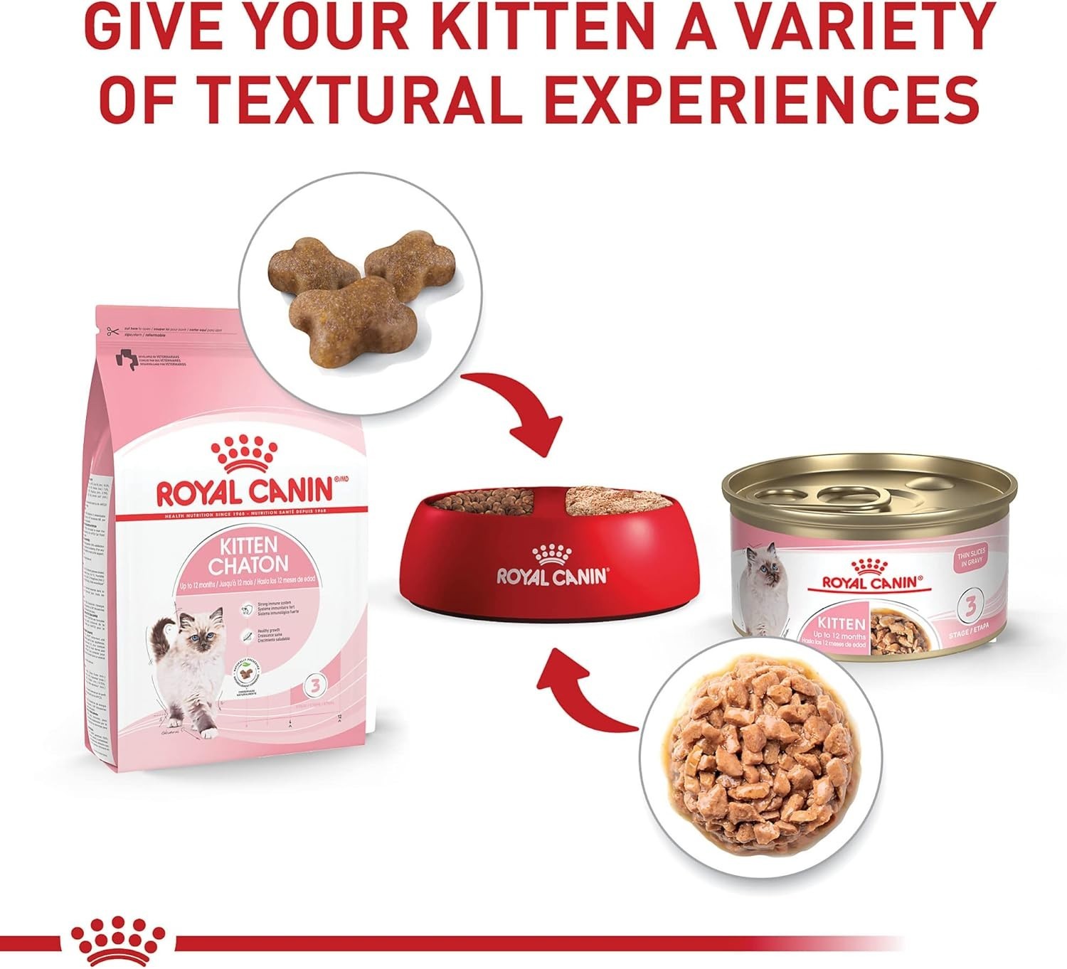 Royal Canin Kitten Up to 12 months | Thin Slices in Gravy | Cat Food, Pack of 12
