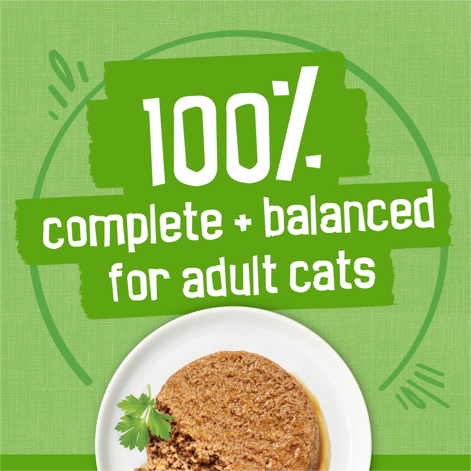 (4 PACK) Purina Friskies Pate Salmon,Mixed Grilled, Wet Cat Food, 5.5 oz 12 Can.