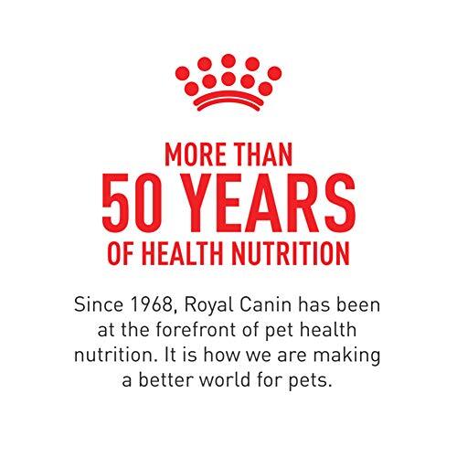 Royal Canin Sensitive Digestion Cat Food 15lb Dry Formula for Digestive Health