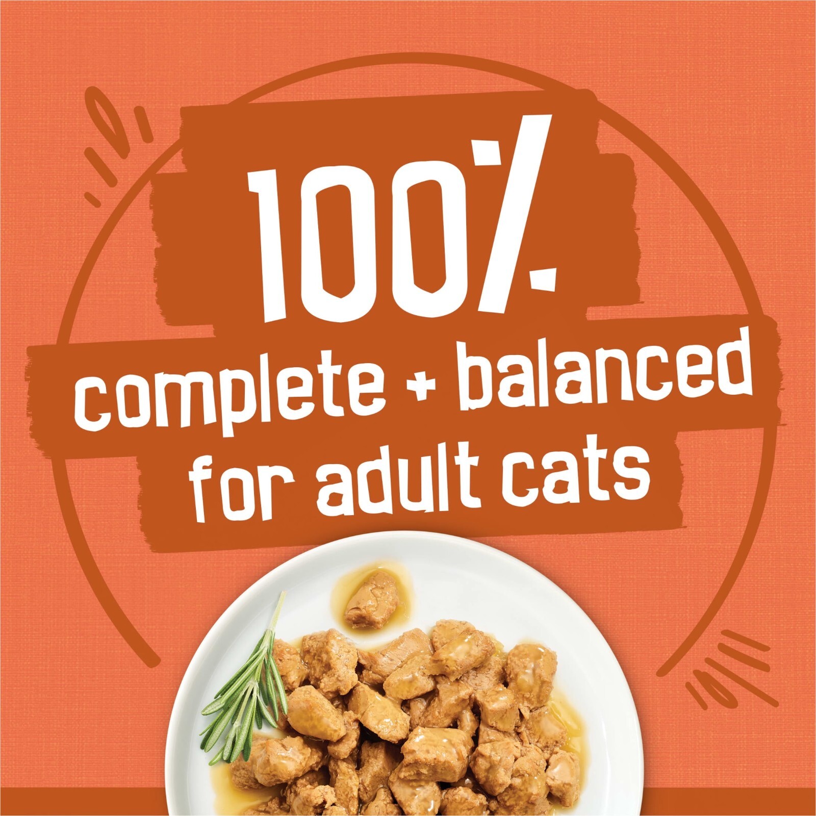 40 Pack Purina Friskies Turchicken Gravy Soft Variety Pack Wet Cat Food, 5.5 oz