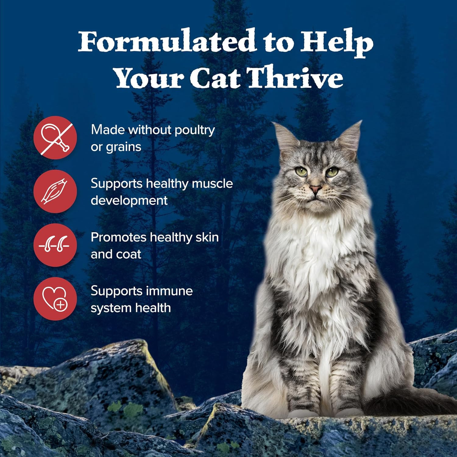Wilderness Adult Dry Cat Food, Rocky Mountain Recipe, Chicken-Free & Grain-Free