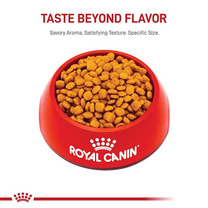 Royal Canin Feline Urinary Care Dry Cat Food 3 Pound Adult Kibble