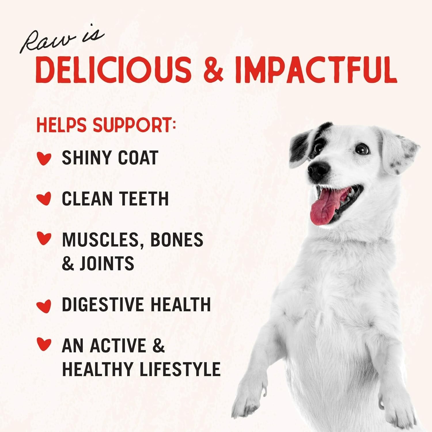 Freeze-Dried Raw Chicken Breast Dog Treats – Single Ingredient, No Additives …