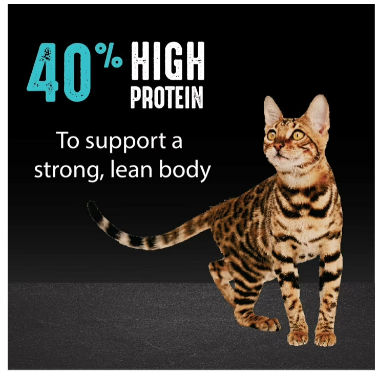 CRAVE Grain Free Adult Dry Cat Food Salmon High Protein Natural Recipe 2 lb Bag