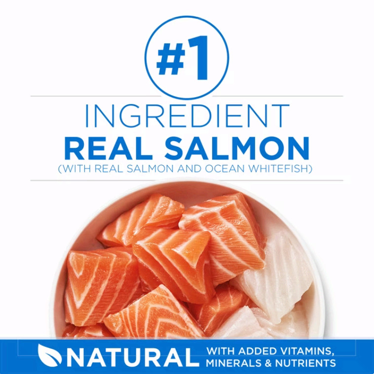 Purina ONE Natural Dry Cat Food Salmon&Ocean Whitefish Skin,Coat Health,22lb Bag
