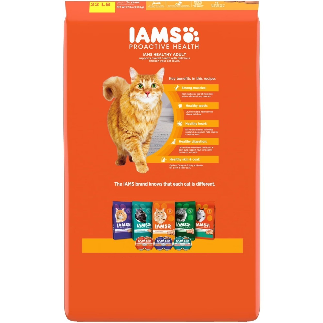 Iams Proactive Health Chicken Flavor Dry Cat Food, 22 Lb Bag