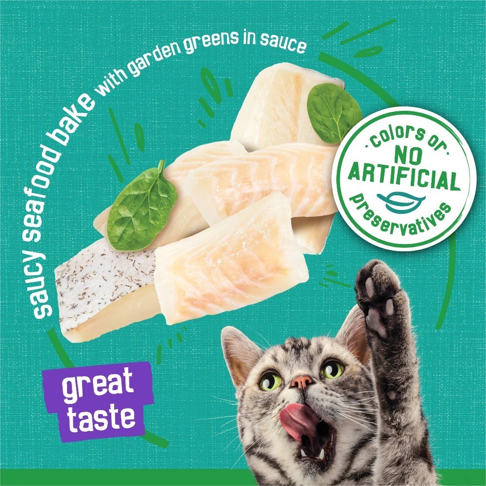 Wet Cat Food for Indoor Cats Seafood Bake Variety Pack 12 Cans 5.5 oz Each