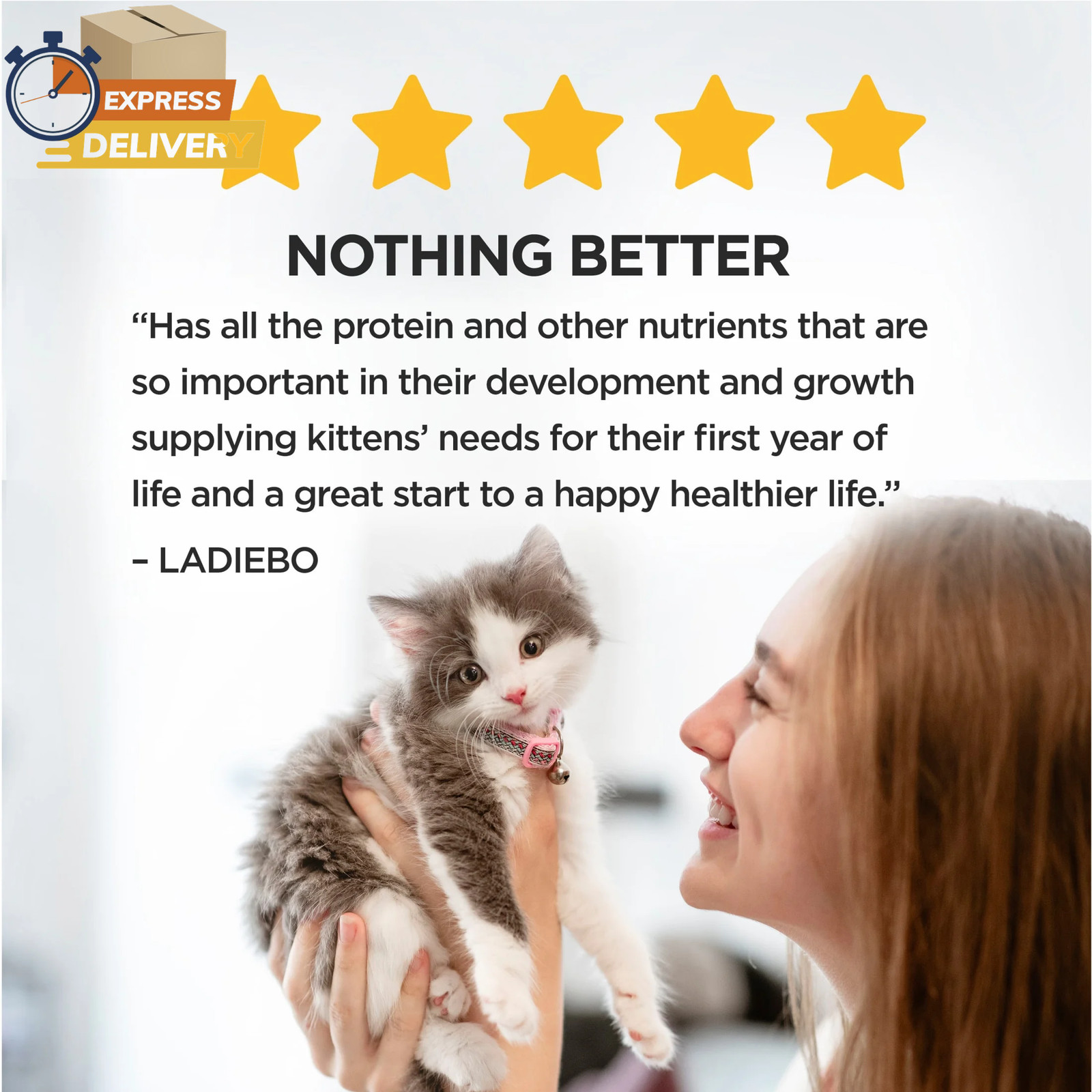 Purina Kitten Chow Healthy Development, Indoor Dry Kitten Food, Chicken, 14 Lb B