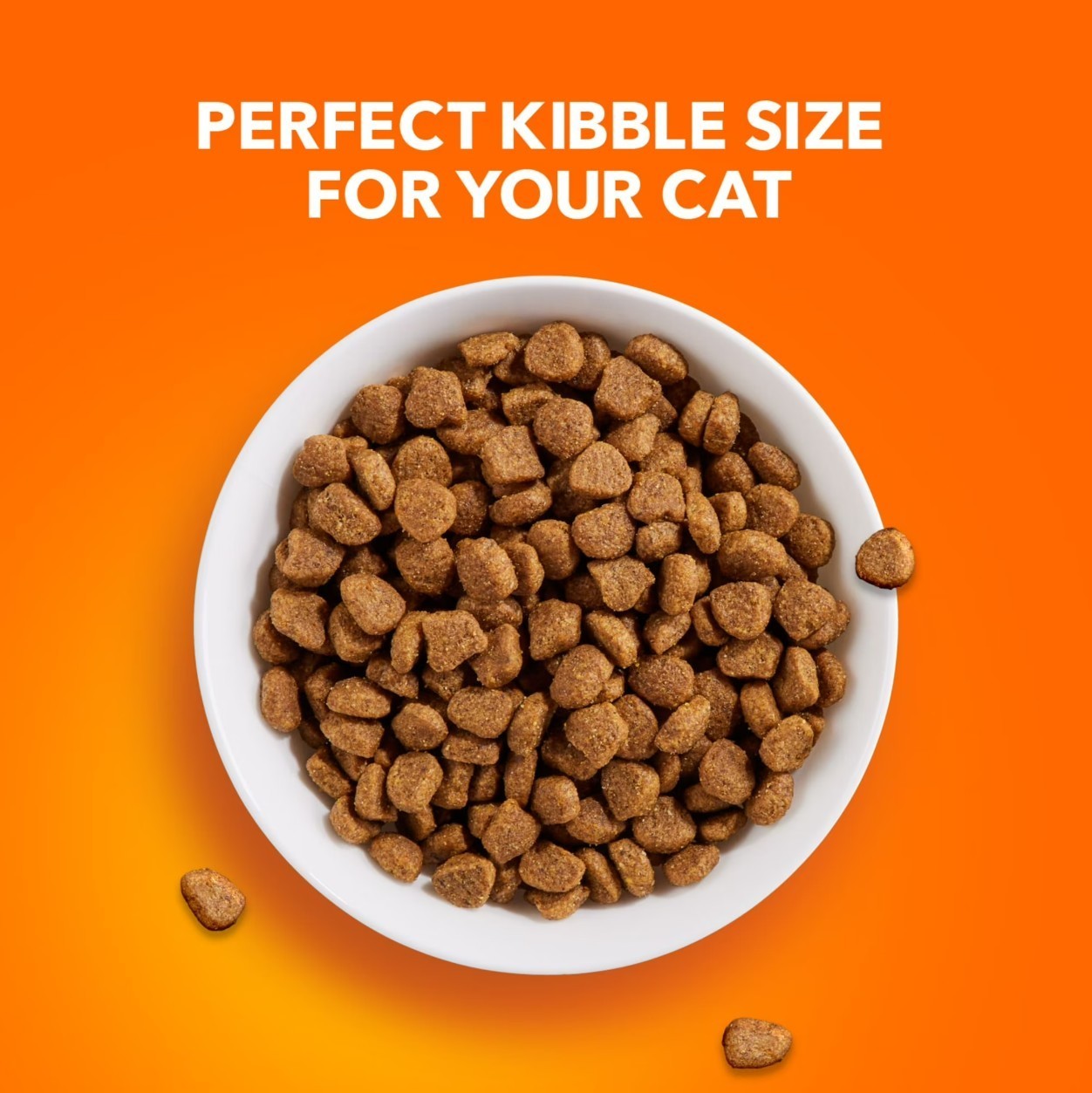 Iams Proactive Health Chicken Flavor Dry Cat Food, 22 Lb Bag