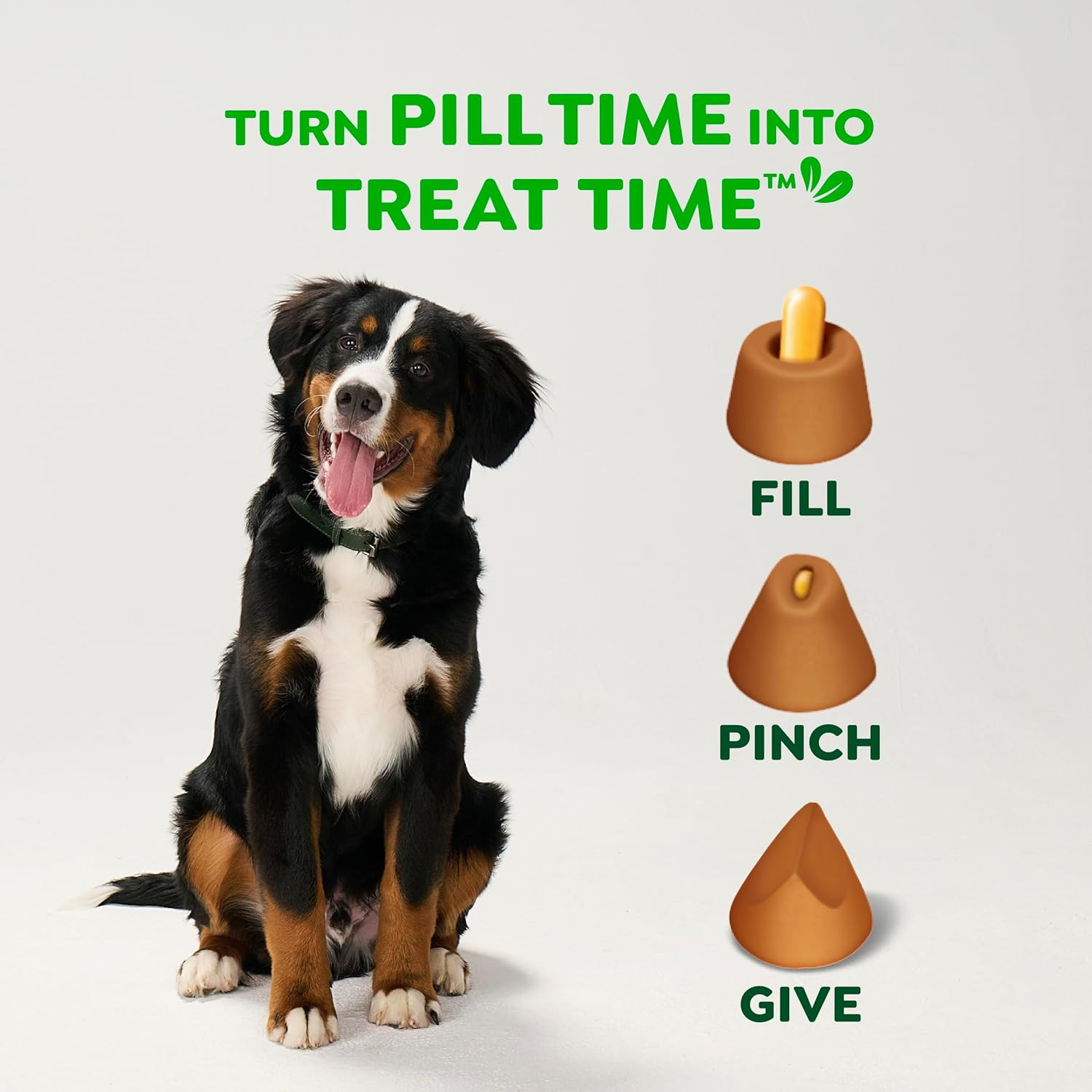 Greenies Pill Pockets for Dogs Large Size, Dog Treat Pouch for Capsule Medicatio