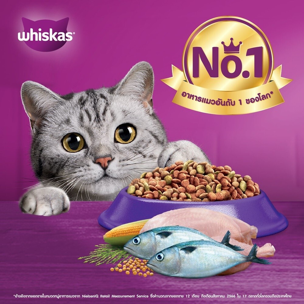 Whiskas Dry Food Senior Cat 7+ Years Mackerel Flavor 1.1 kg (2.425 lbs)