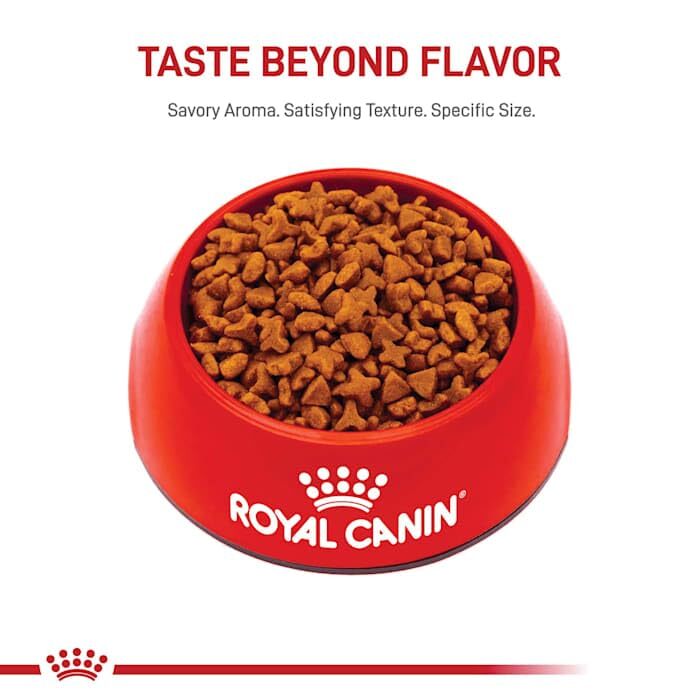 Royal Canin Feline Health Nutrition Sensitive Digestion Cat Food 7 Pound Bag