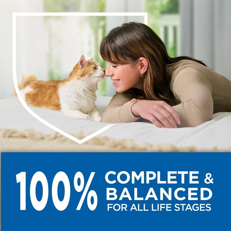 High Protein Dry Cat Food W/ Real Chicken 25 Essential Nutrients All Life Stages