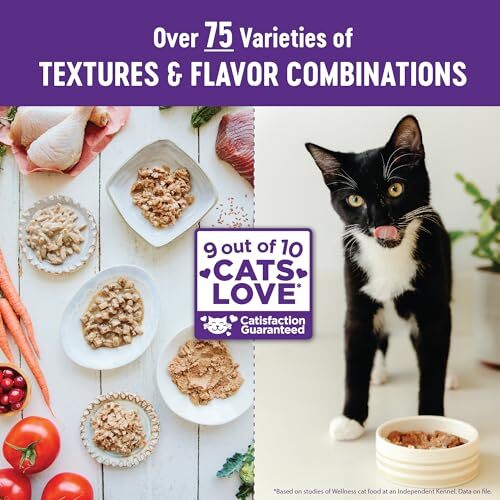 Wellness Grain Free Wet Cat Food Turkey Salmon Canned 24 Pack 5.5 Ounce