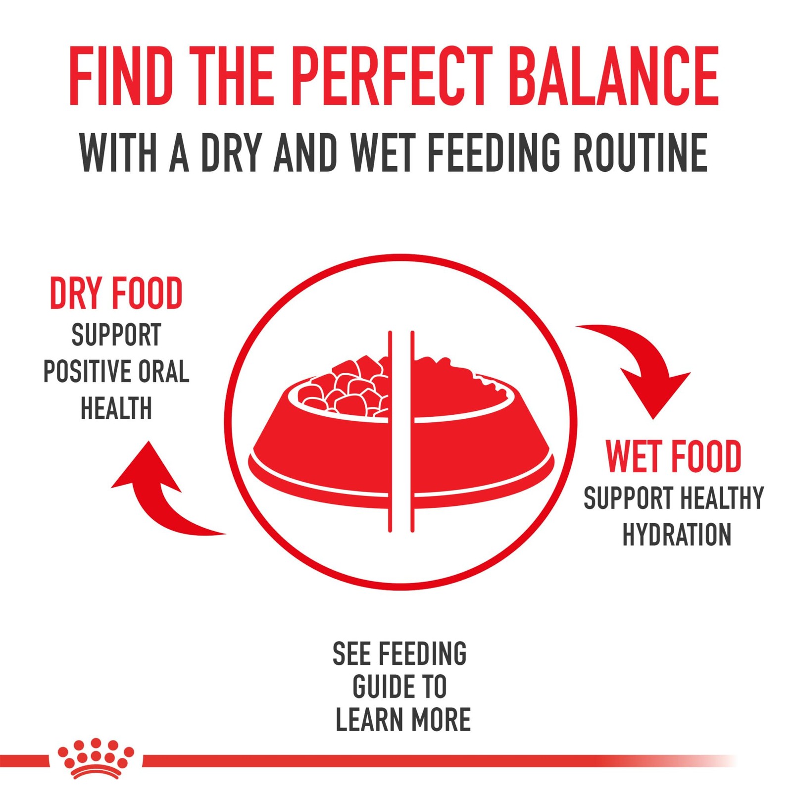 Royal Canin Feline Health Nutrition Indoor Adult Dry Cat Food, 15 lb Bag